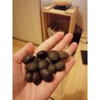 HẠT SACHI DAKLAK Loại 1