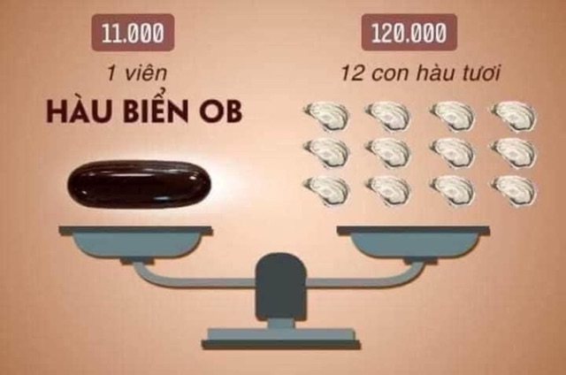 Hộp Hàu biển Ob chính hãng 100% | BigBuy360 - bigbuy360.vn