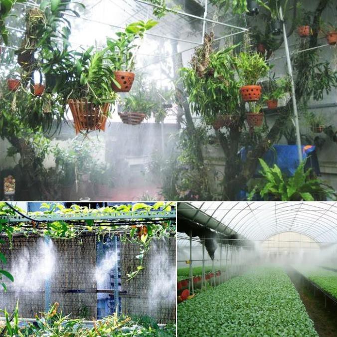 bộ máy phun sương 10 béc máy 24v đài loan