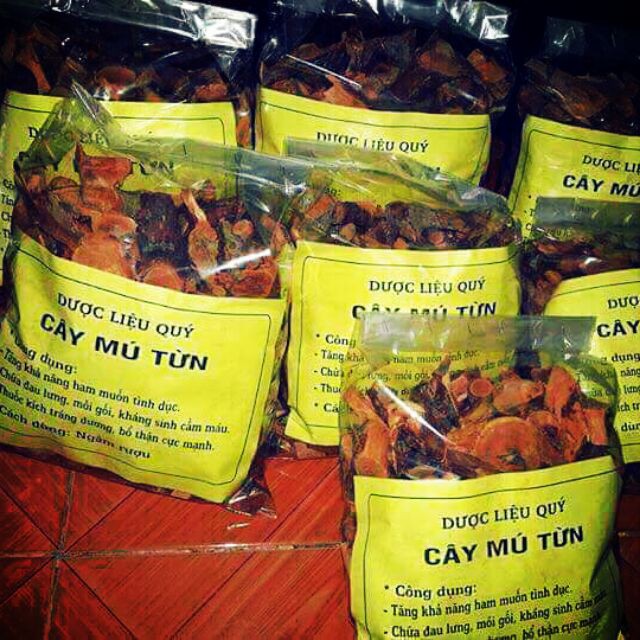 Cây Mú Từn
