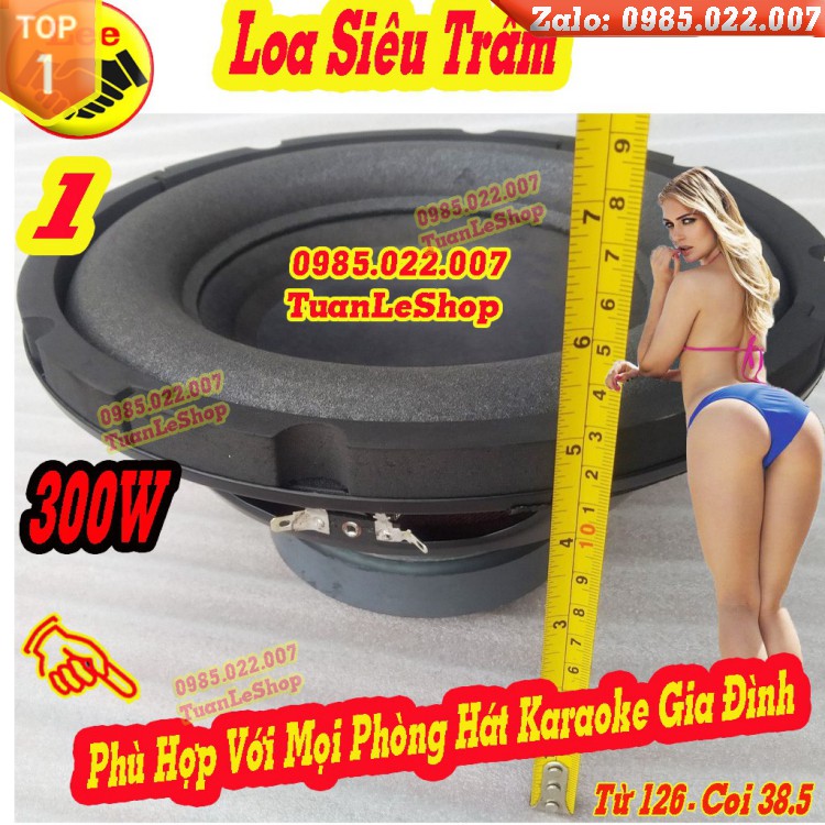 LOA SIÊU TRẦM 25 GIÁ RẺ - LOA SUB BASS 25 BÌNH DÂN MS1020