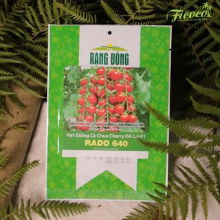 HẠT GIỐNG CÀ CHUA CHERRY ĐỎ LAI F1 RADO 640