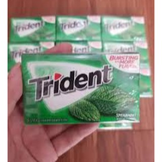 Kẹo Trident Mỹ hương Quế & Bạc Hà