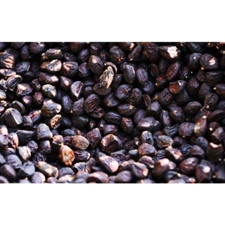 100g HẠT DỔI NẾP LOẠI ĐẶC BIỆT