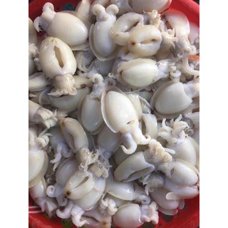 MỰC NAN BẦU BABY 1kg (ship hoả tốc HCM)