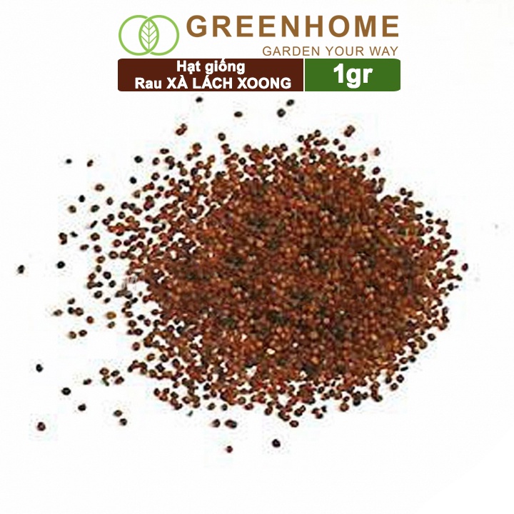 Hạt giống rau Xà lách Xoong ,gói 1g ,dễ trồng, thu hoạch nhanh R01|Greenhome