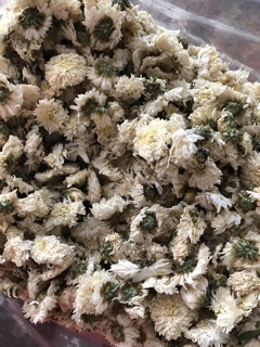 Trà hoa cúc trắng loại 1
