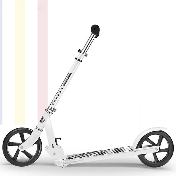 Xe trượt Scooter BBT Global Cỡ Lớn 2138