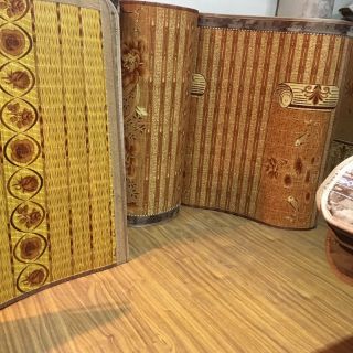 Chiếu trúc tăm