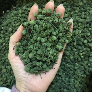 200g nụ hoa tam thất