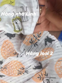 Bộ côtton giấy
