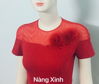 Đầm bút chì decoupe ngực, phối lưới