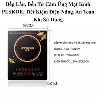 Bếp Từ PESKOE