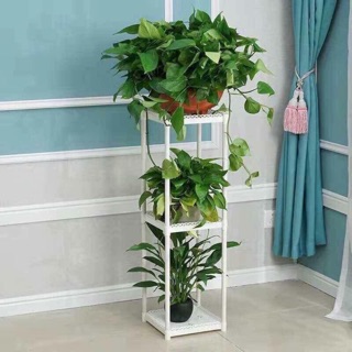 Kệ để chậu hoa cây cảnh 3 tầng