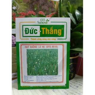 HẠT GIỐNG RAU HẸ - Rau củ quả trồng tại vườn, sân thượng, nông trang, ban công