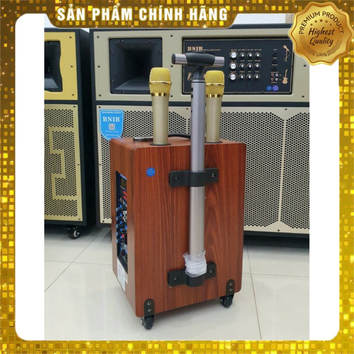 Loa Kéo AZPRO 310 Bass 25 - Loa kẹo kéo Hát Karaoke Cao Cấp Vỏ Gỗ Tặng Kèm 2 Mic Không Dây