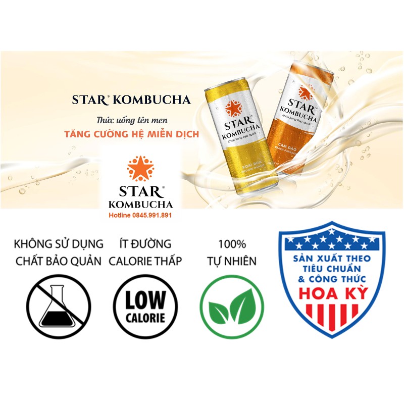 Combo 4 lon trà STAR KOMBUCHA mix vị - Beauty Pack (250ml/lon) - Trà lên men vi sinh chứa probiotics bảo vệ sức khoẻ