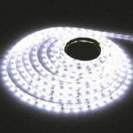 Cuộn Led dây dán 5m 5050 12V