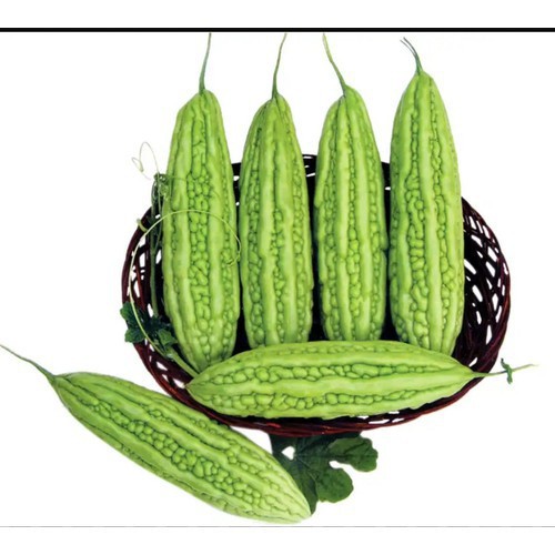 Hạt khổ qua mướp đắng NO.09 trái dài - gói 10 gram