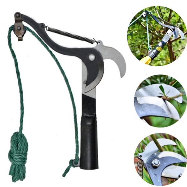 Đầu kéo cắt cành cây trên cao. Kéo tỉa cây cảnh, hái hoa quả tiện dụng