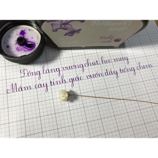 Combo mực pelikan tím than