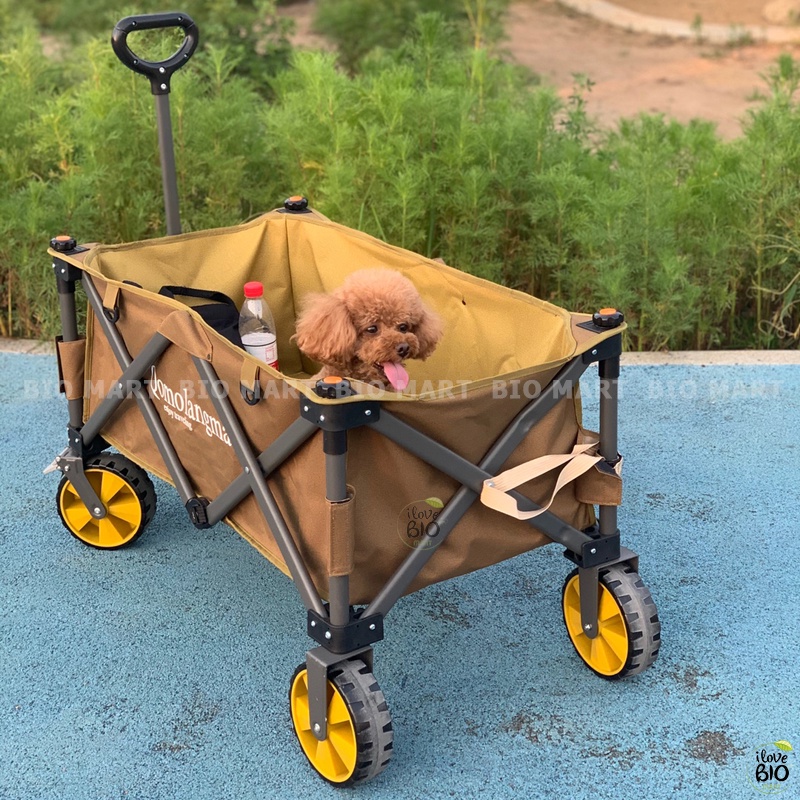Xe Kéo Dã Ngoại Gấp Gọn BrotherWalking – Xe Kéo Đẩy Đựng Đồ Du Lịch Dã Ngoại Sức Chứa 100Kg - P020 | BigBuy360 - bigbuy360.vn