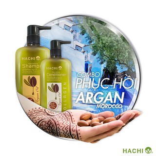 Bộ gội xả phục hồi hư tổn hachi 800ml
