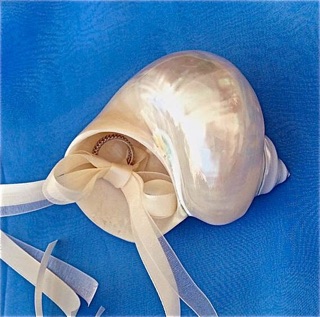 Ốc xà cừ mài