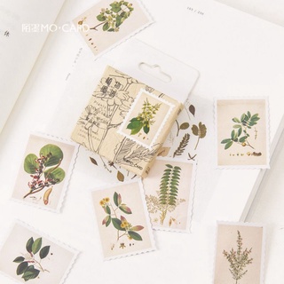 Hộp 45 hình dán sticker trang trí hình lá cây M924