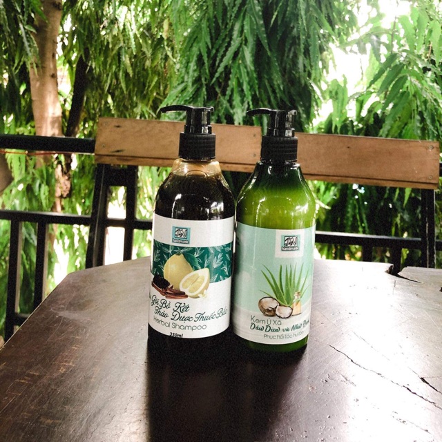 Dầu gội bồ kết thảo dược