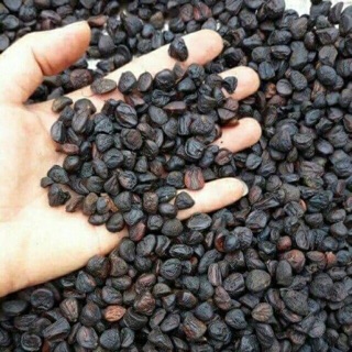 Hạt dổi nếp rừng Sapa 50g