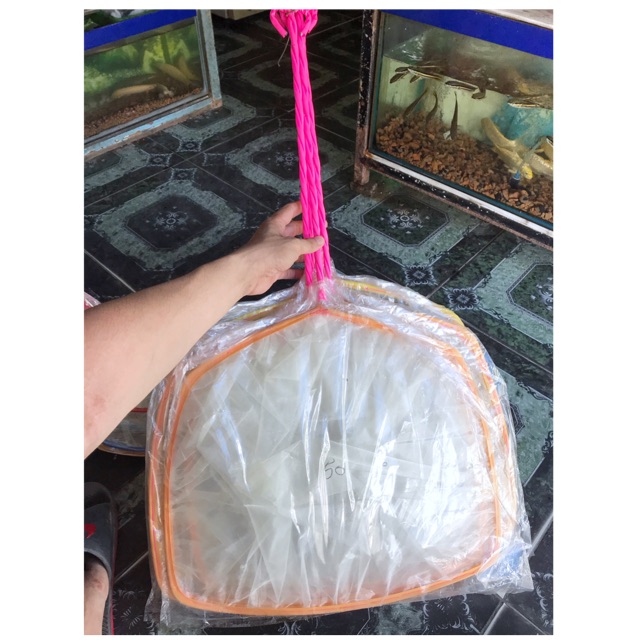 VỢT TRANG TRÍ HỒ CÁ NON BỘ