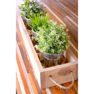 Chậu Gỗ Trồng Cây Để Bàn