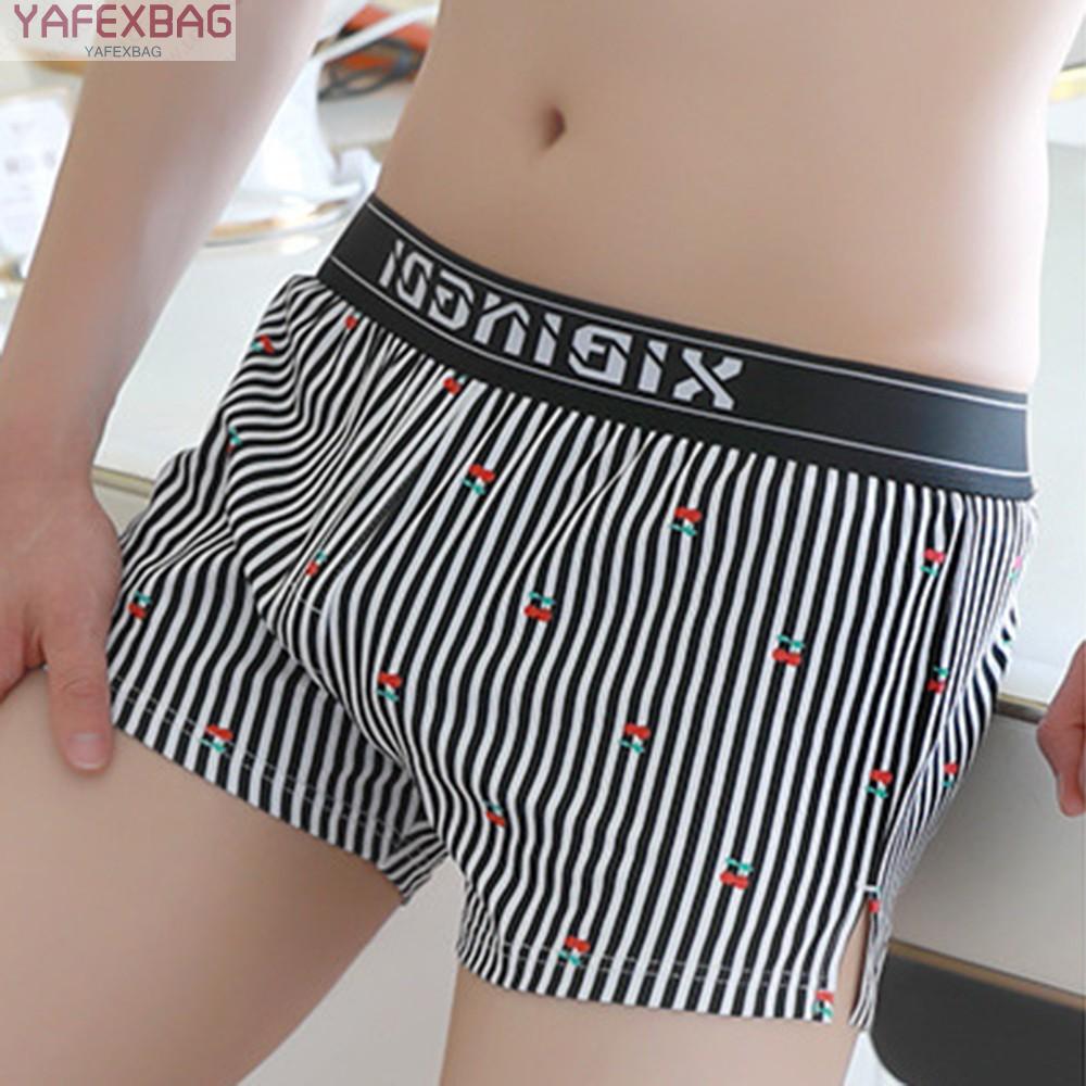 Quần Lót Chất Cotton Hoạ Tiết In Thiết Kế Dáng Rộng Thoải Mái | BigBuy360 - bigbuy360.vn