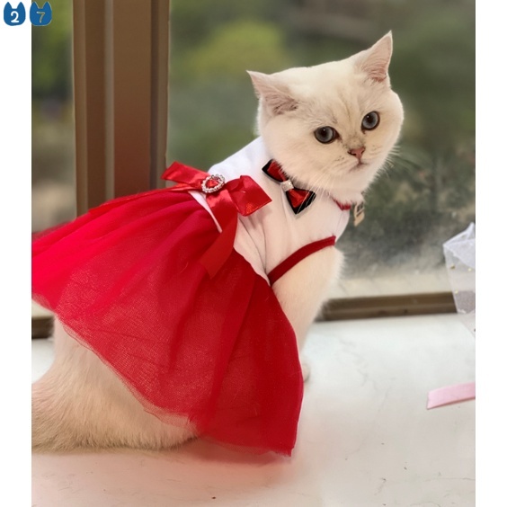 Đầm Thời Trang Mùa Hè Xinh Xắn Dành Cho Thú Cưng