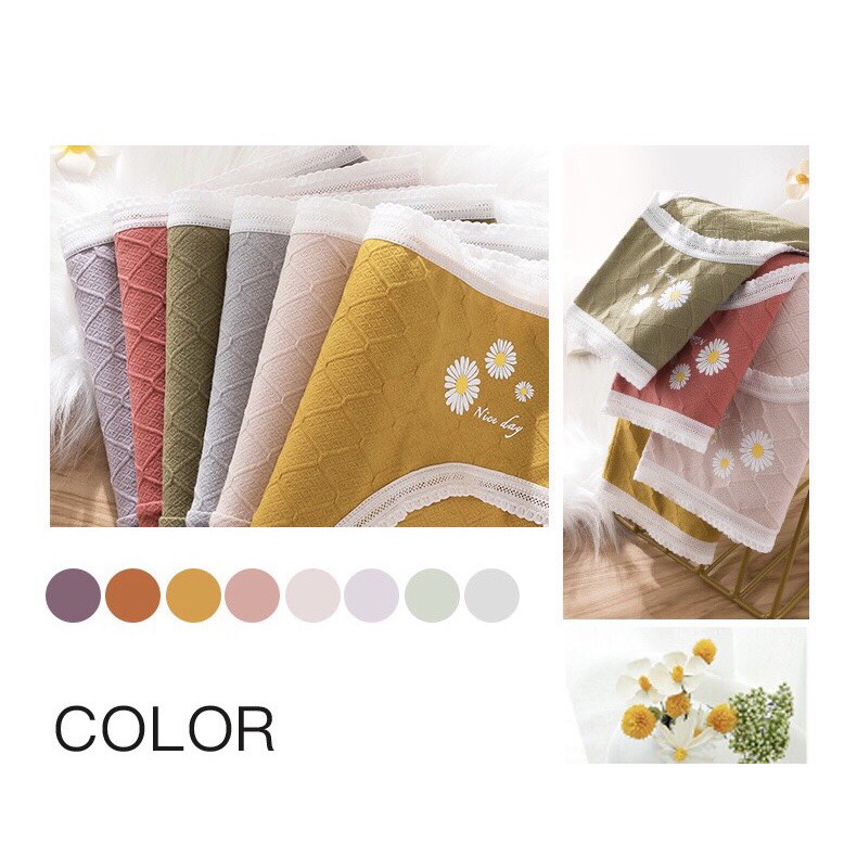 8688quần lót nữ cotton hoa cúc pha ren sexy mềm mịn không bai xù kháng khuẩn | BigBuy360 - bigbuy360.vn