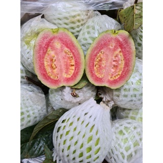 Ổi ruột đỏ 1kg