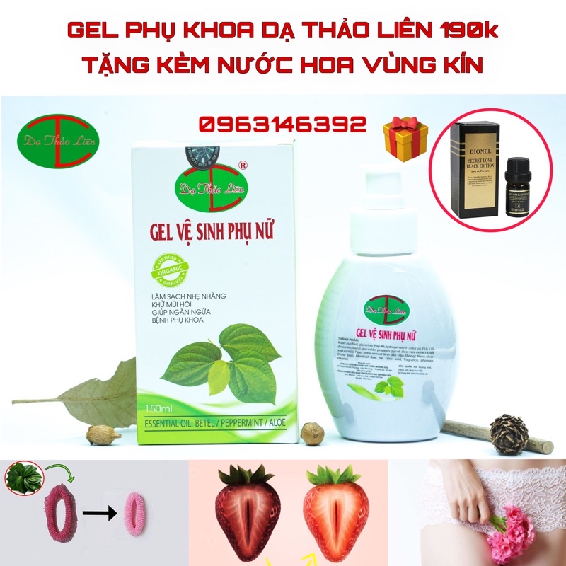 [ Tặng nước hoa vùng_kín] Gel Phụ_khoa trầu không Dạ_Thảo_liên