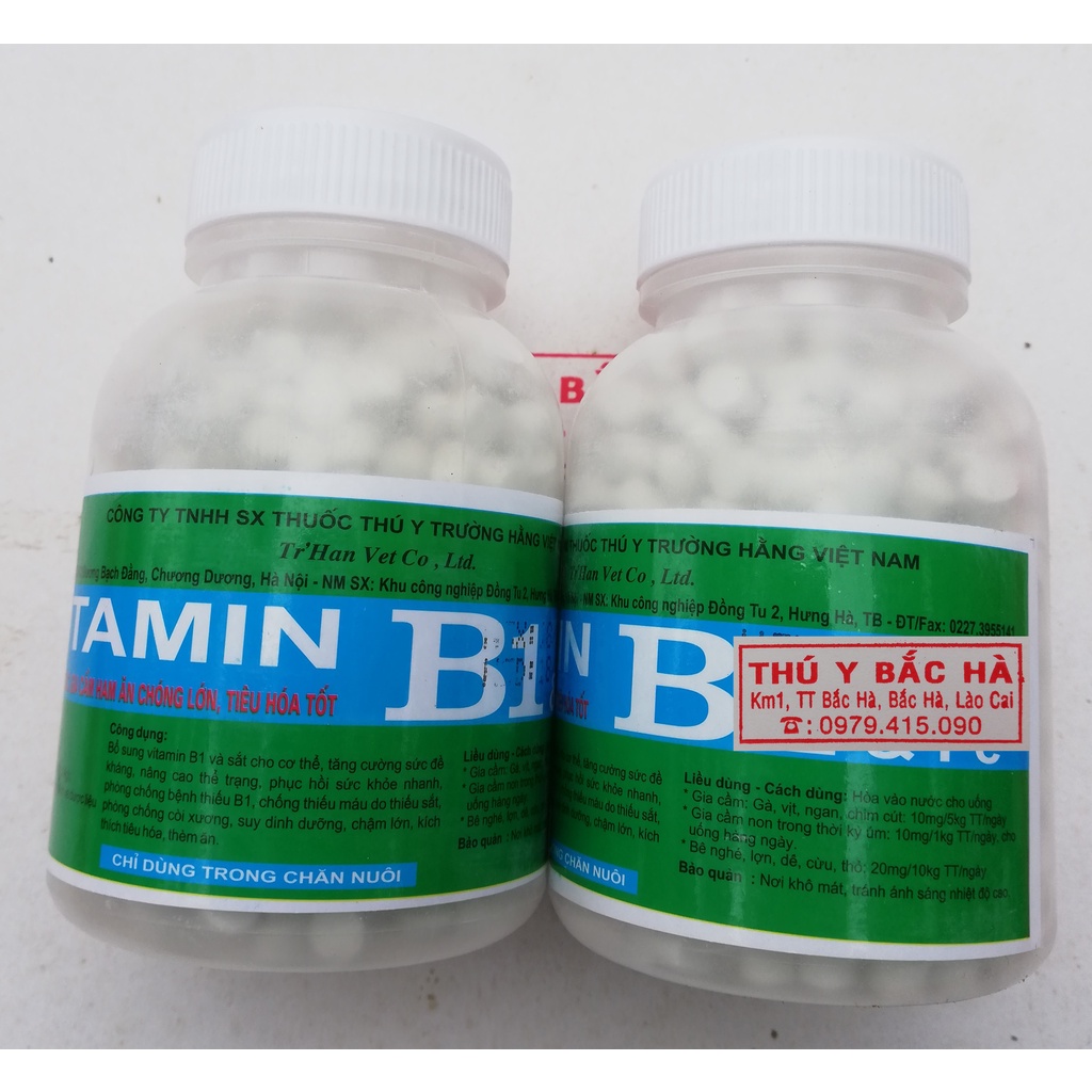 1 lọ VITAMIN B1 200g KÍCH THÍCH GIA SÚC, GIA CẦM, CHÓ MÈO HAM ĂN CHÓNG LỚN, TIÊU HÓA TỐT. Có thể dùng bón cho hoa lan