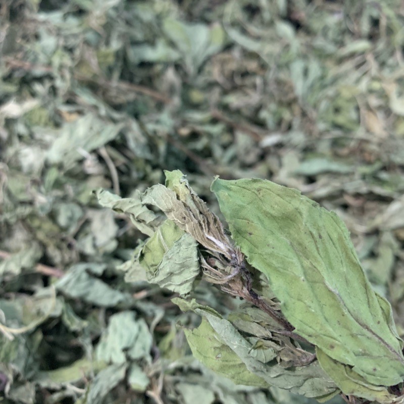 1Kg Trà Cây Bạc Hà Sấy Lạnh The Mát