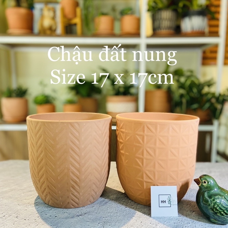 Chậu đất nung nhiều hoạ tiết, Size 17x17cm chậu trồng cây