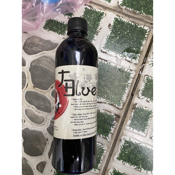 Tblue trị bệnh cá koi