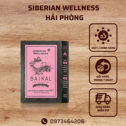 Trà thảo mộc giảm đau mỏi xương khớp Baikal tea collection. Herbal tea №7 Siberian Wellness