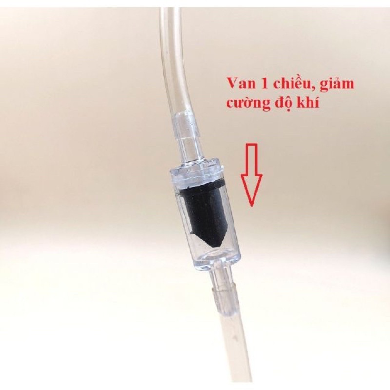 DÂY OXI CHO HỒ  CÁ