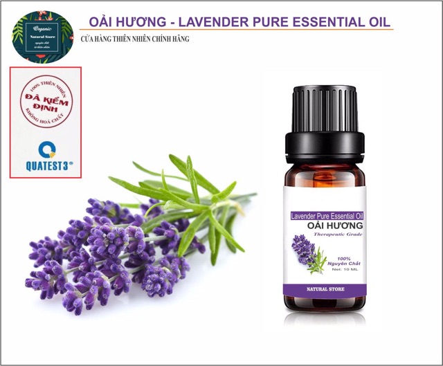 Tinh Dầu Oải Hương 10ML Nguyên Chất Organic [ Lavender Pure Essential Oil ]