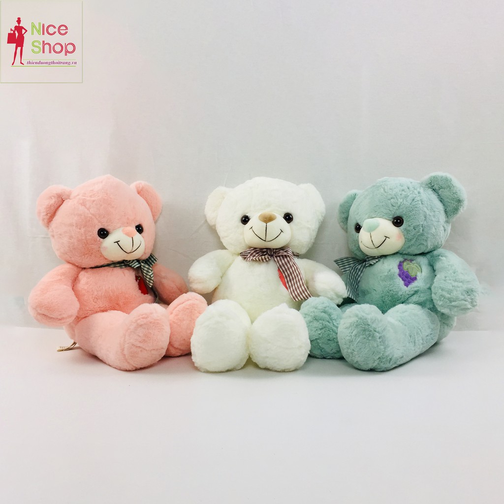 Gấu bông ôm teddy siêu đáng yêu nhiều màu dùng để cho bé ôm trang trí trong nhà - OT0700