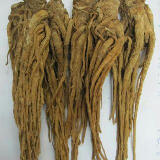 Sâm đương quy 1kg sâm quy quy ngố