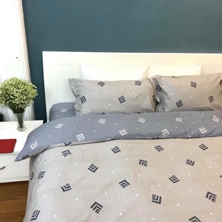 Bộ chăn ga gối cotton 100%