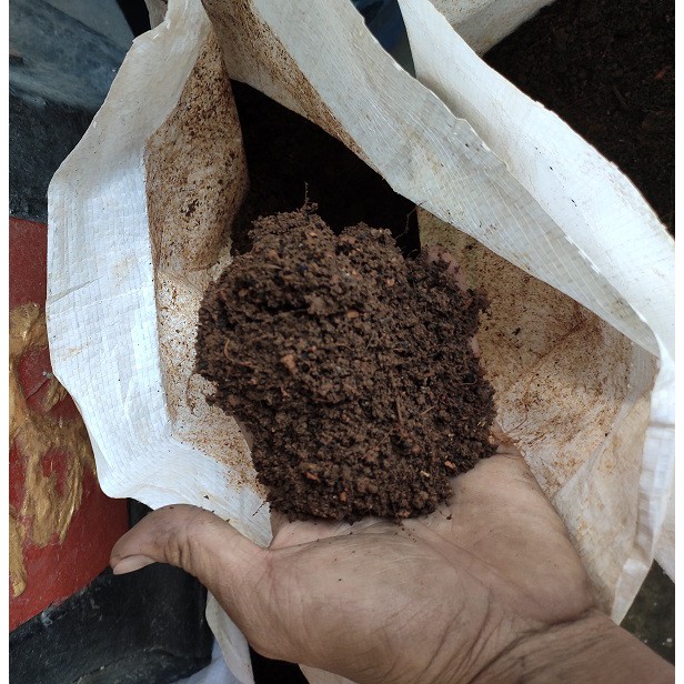 Đất trồng cây tổng hợp: đất sạch, xơ dừa
