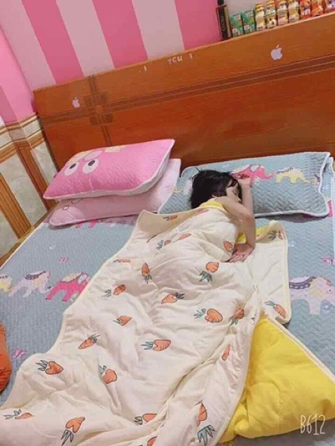 [GIÁ SỐC] Chăn Đũi điều hoà cho bé ( hàng đẹp )